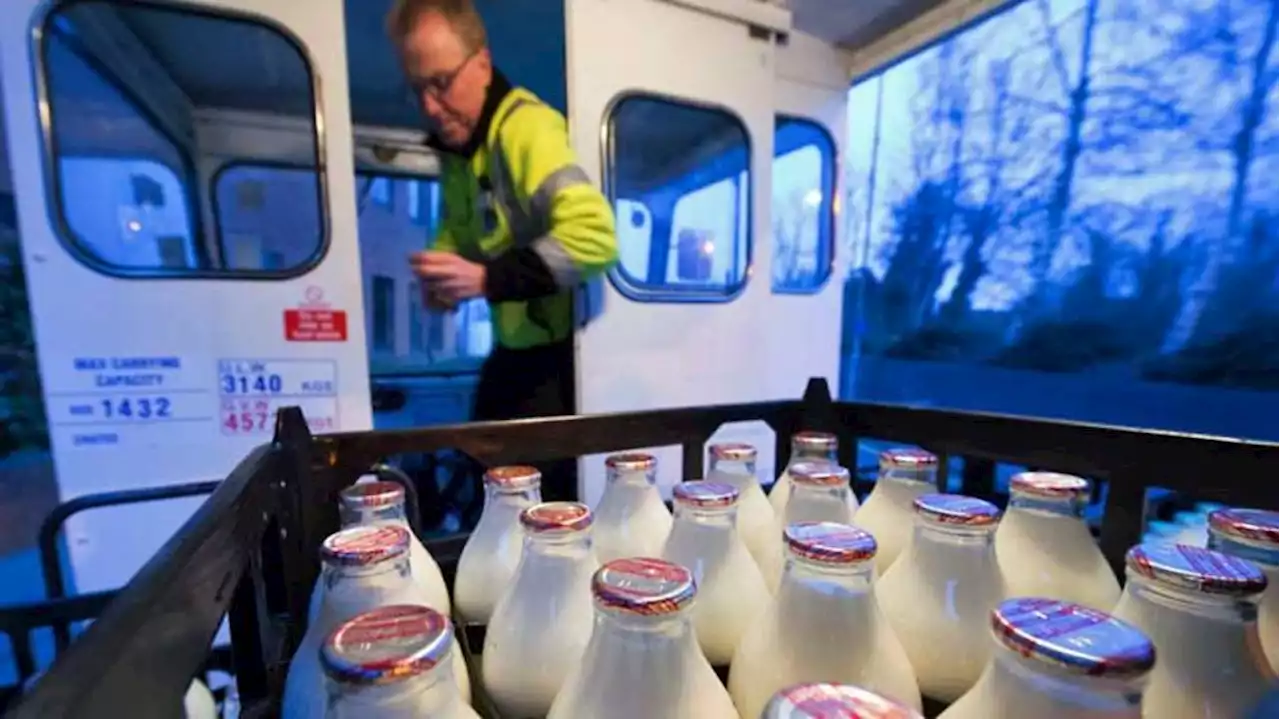 Британски фермери изхвърлиха хиляди литра мляко