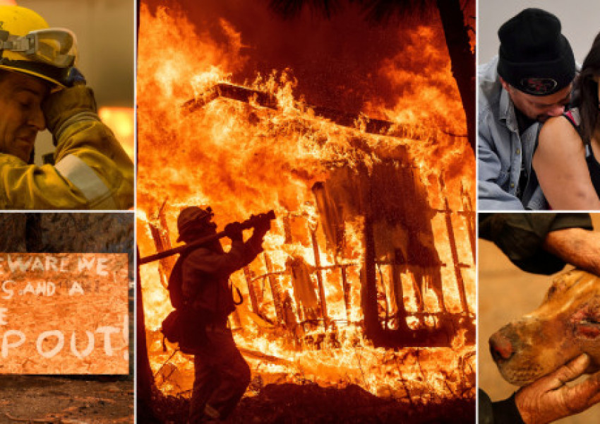 Броят на жертвите при пожара в Калифорния расте, загиналите вече са 42 души