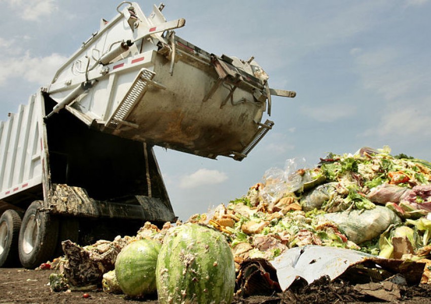 Половината от храната в САЩ се изхвърля