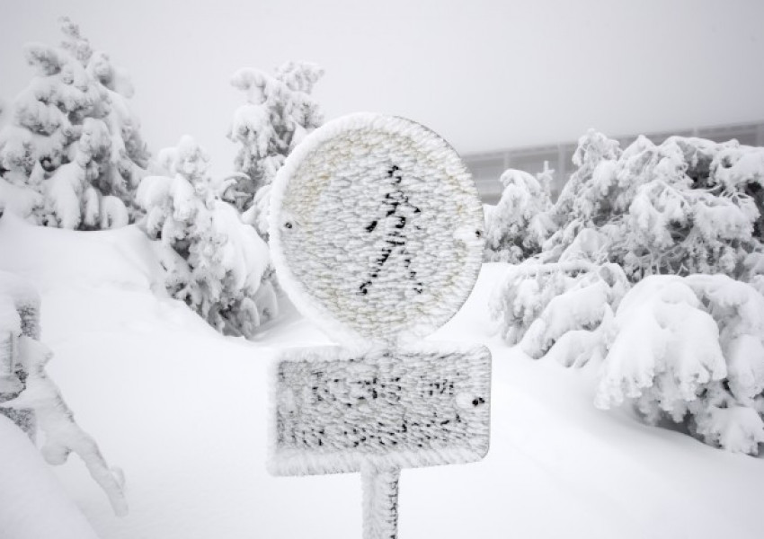 Обилни снеговалежи в Германия, най-малко двама са загиналите