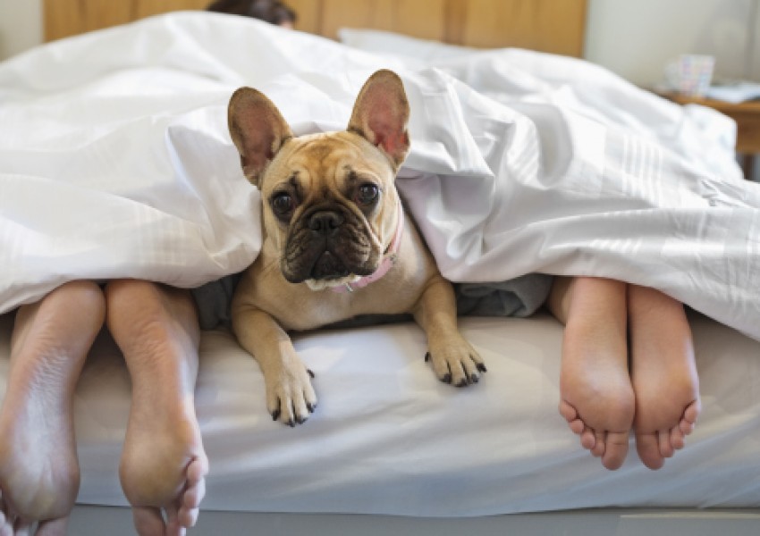 5 неща, които никога не трябва да правите в леглото си