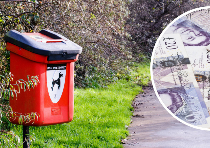  £100 паунда глоба ако разхождате кучето си в Лондон без торбички за изпражнения