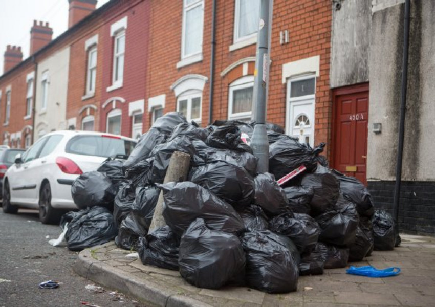 Епидемия от гризачи в Лондон