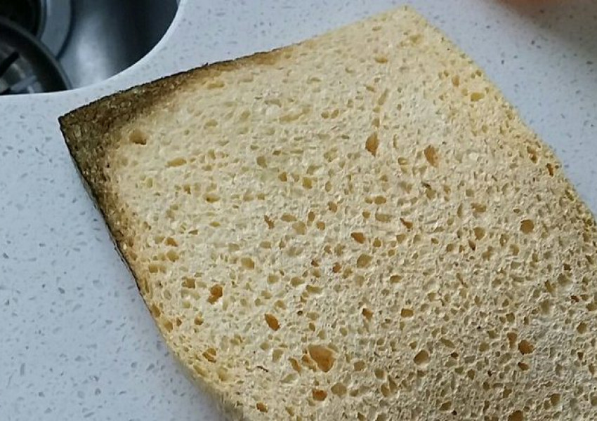 Хляб или гъба? Какво мислите?