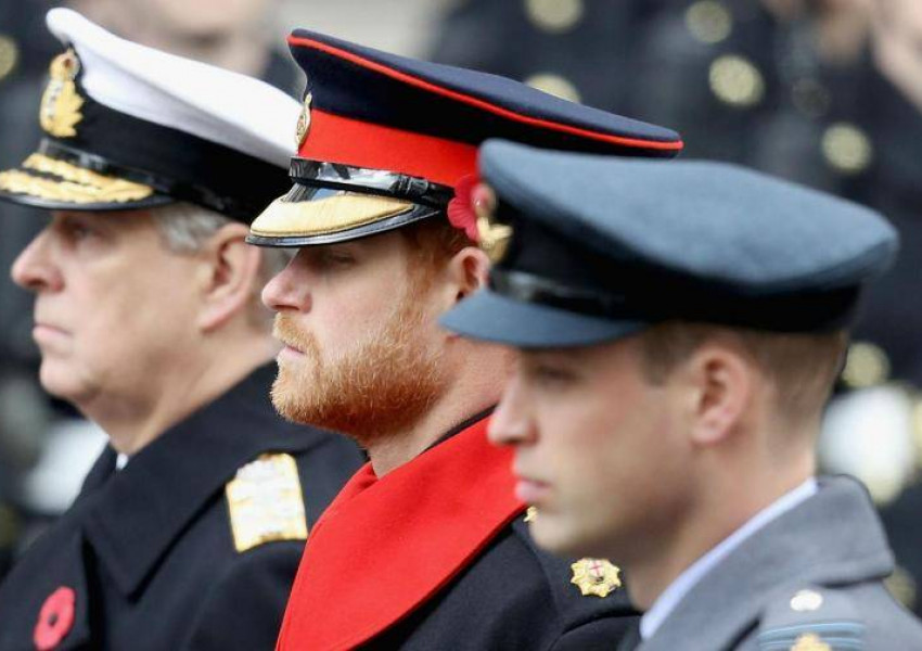 Принц Хари с гаф на Remembrance Sunday