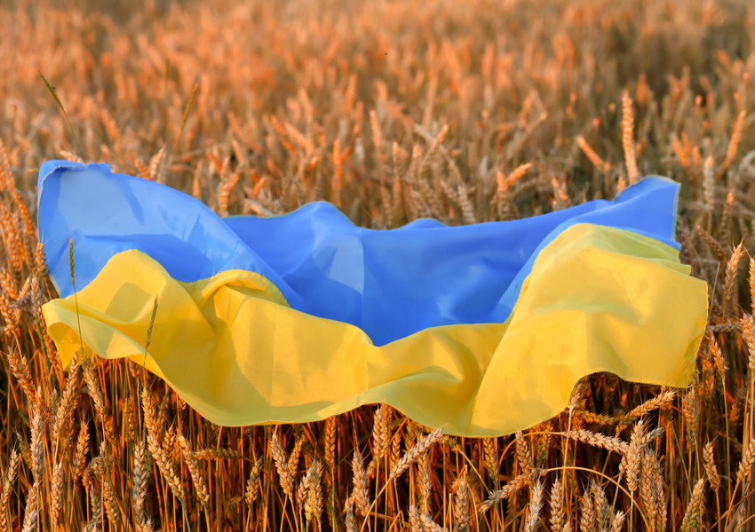 Европа ще загуби милиони тонове зърно заради войната в Украйна и сушата