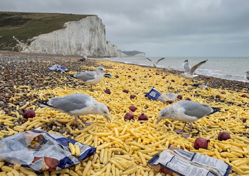 Странен инцидент:  Хиляди пакети с бланширани картофи за пържене заляха британски плаж в Съсекс