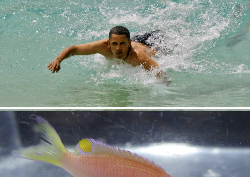Кръстиха риба на Обама