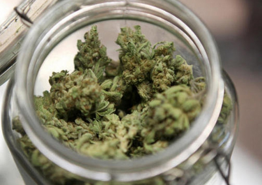 Германия каза "да" на марихуаната