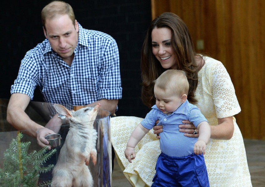 Ново попълнение към семейството на Кейт и принц Уилям