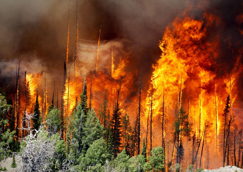Пожарите в Европа: Климатични промени или добре планирани терористични акции?