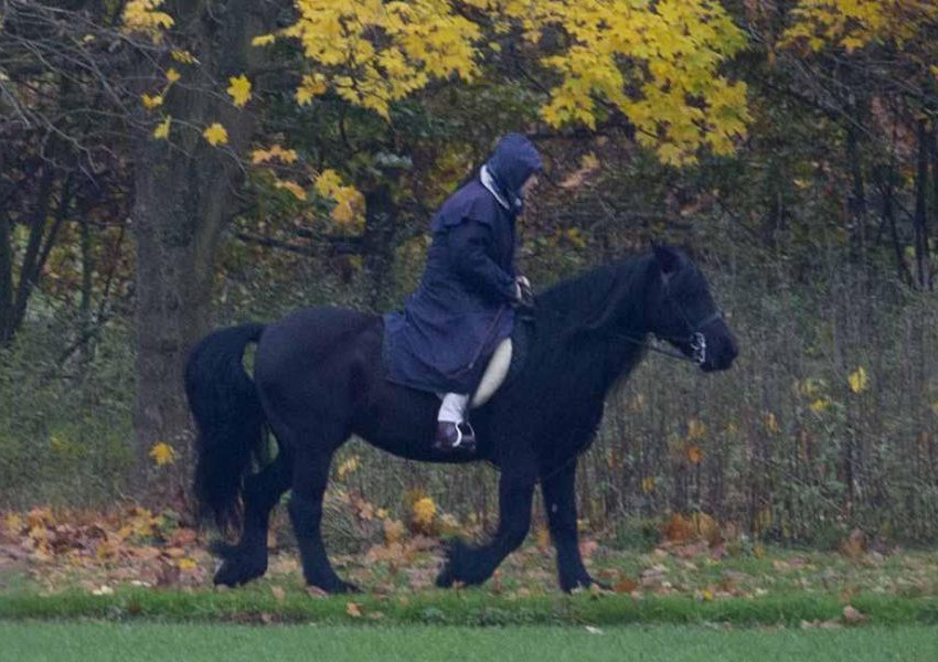 Кралица Елизабет излезе на разходка въпреки дъжда