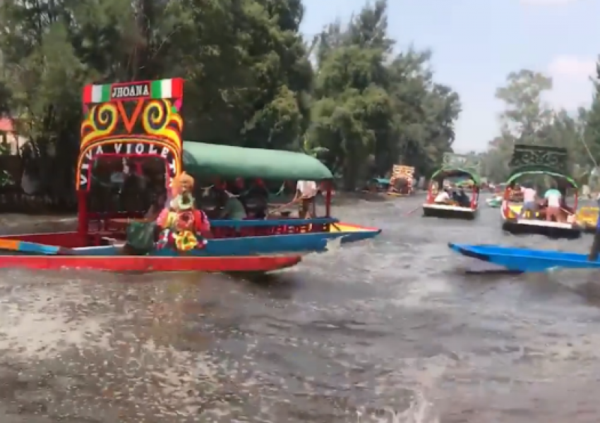Ужасяващо видео на момента на страшния трус в Мексико! (ВИДЕО)