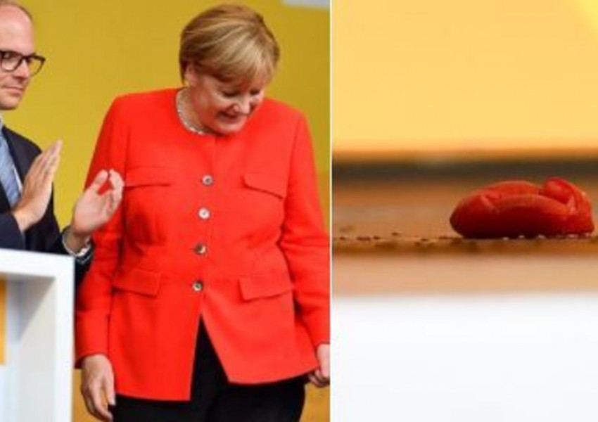 Целят с домати канцлера Ангела Меркел