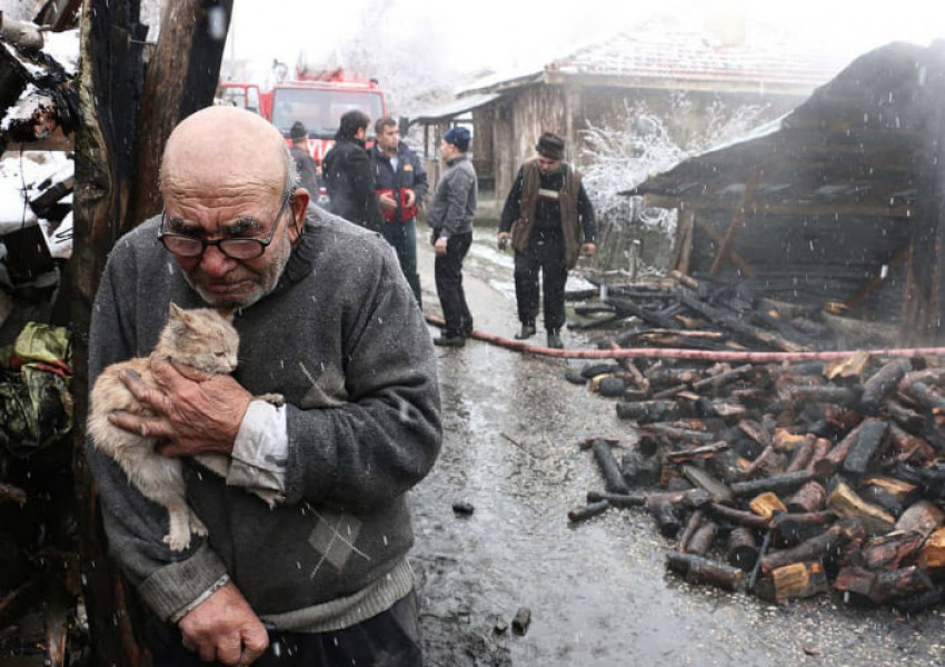 Защо тази снимка обиколи цял свят?