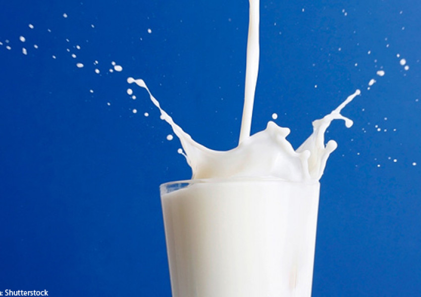 Внимавайте! Продават бебешко мляко със салмонела!