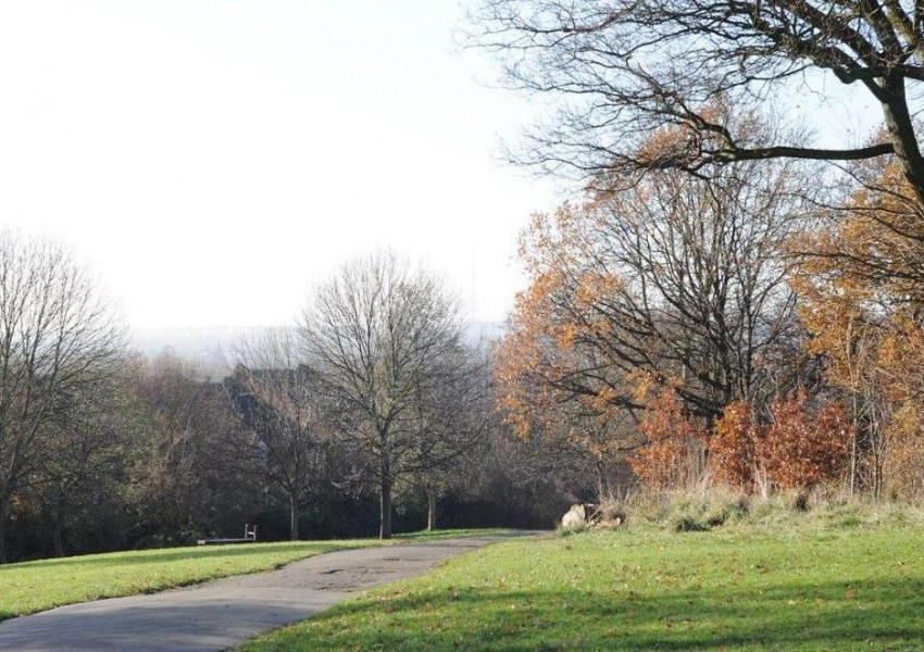 5-годишно момче почина след побой в парк в Източен Лондон