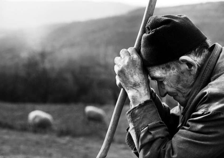 Евростат: Най-бедните българи са във Видин и Враца, най-заетите - в София