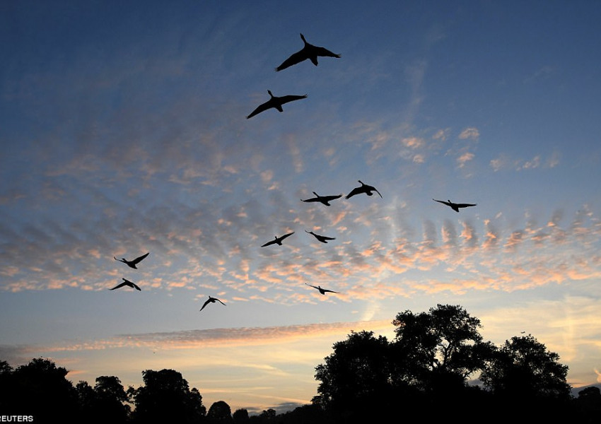 Има ли шанс за още малко лято? До 21 градуса в неделя!