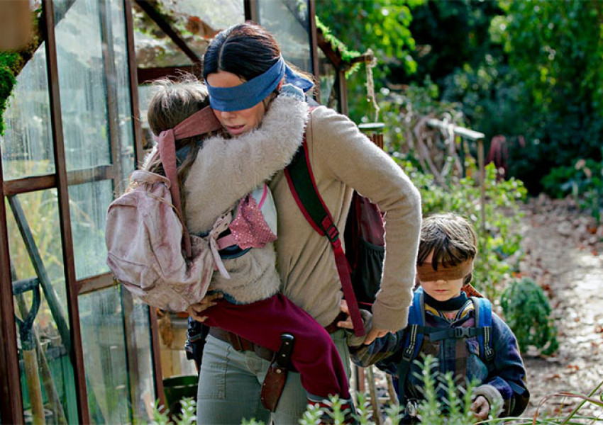 Хората луднаха по Bird Box Challenge, oт Netflix предупредиха, че е опасно