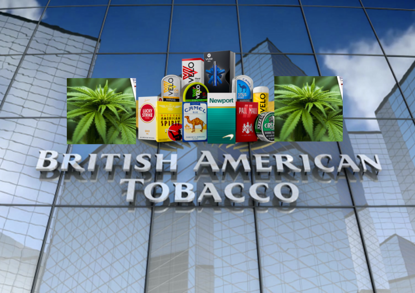 British American Tobacco: "Бъдещето ни е в марихуаната"