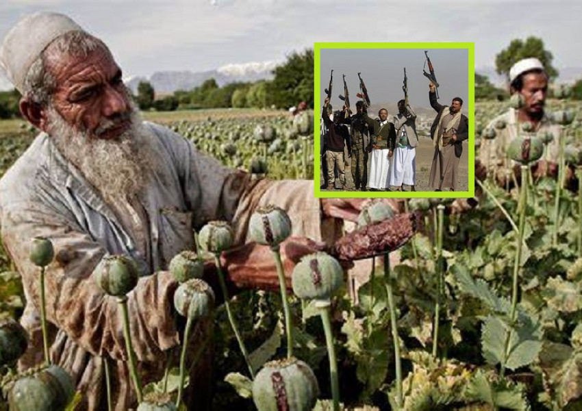 Как талибаните станаха по-богати и силни след опиумните войни