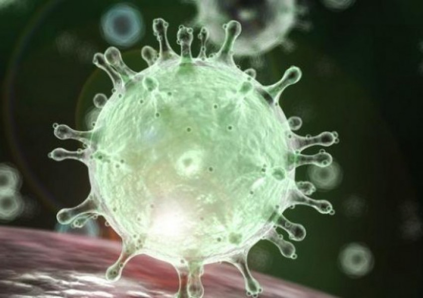 Митове и факти свързани с коронавируса, предоставени от СЗО