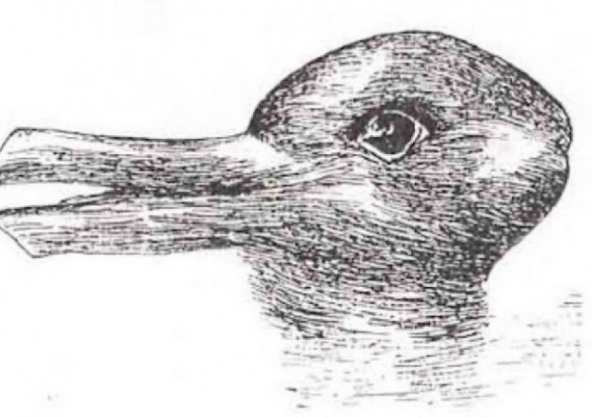 Патица или заек? Какво виждате?