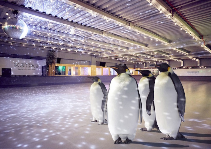 На кънки с истински пингвини в Лондон