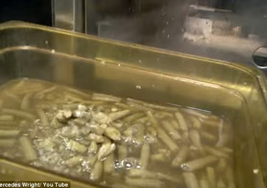 Гнус! Вижте как се готви в KFC (ВИДЕО)