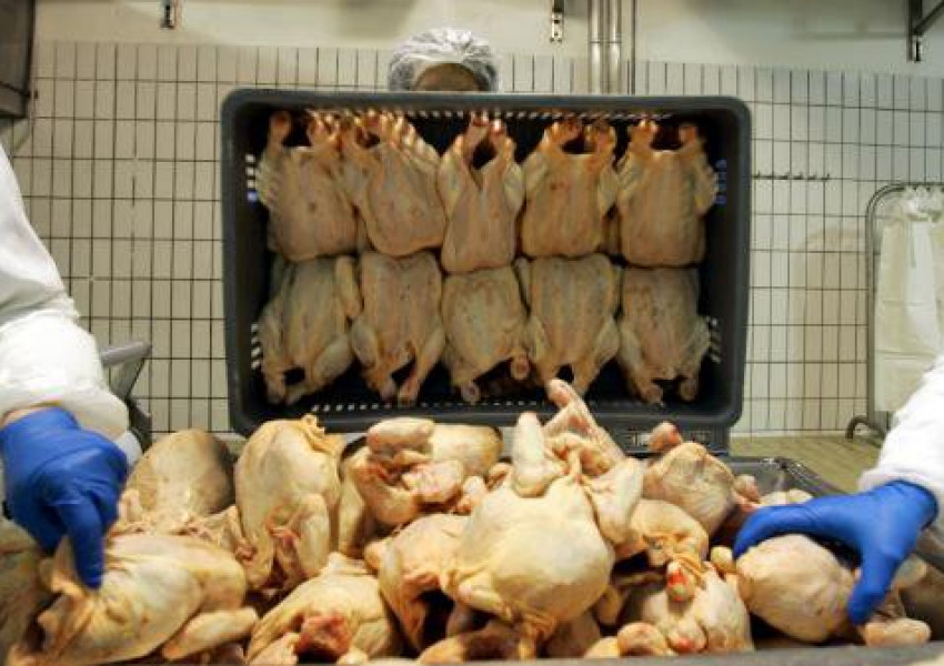 Окончателно! Хлоринови пилета няма да бъдат продавани във Великобритания!
