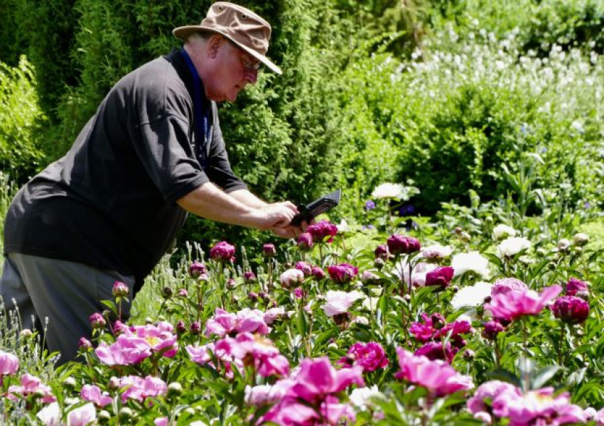 Ако страдате от алергия, не излизайте днес!