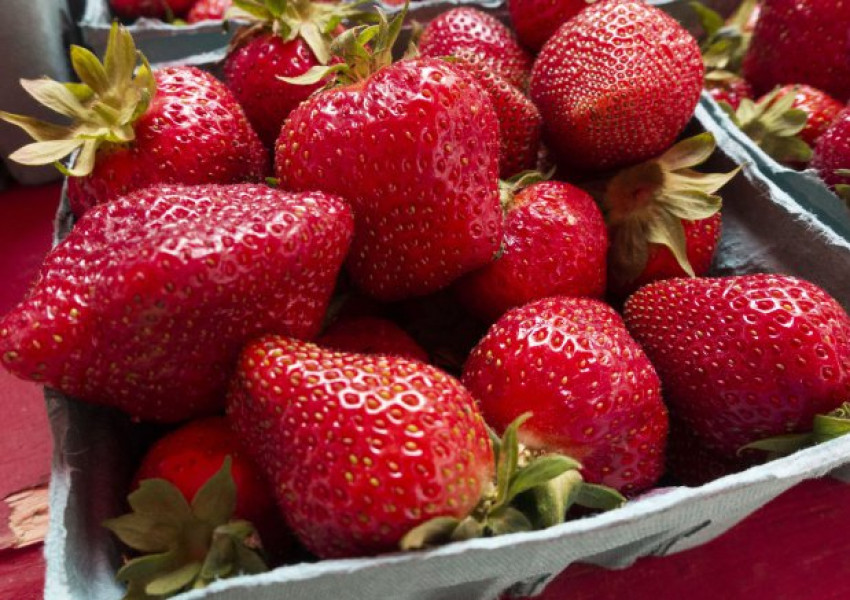 Отровни ягоди плъзнаха из фермите на Острова