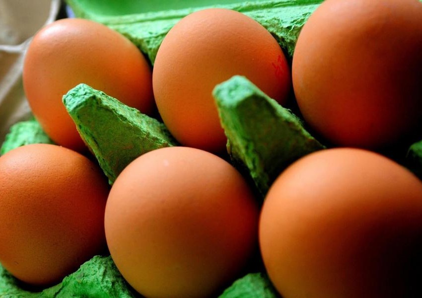 Над 70 хиляди опасни яйца на пазара във Великобритания