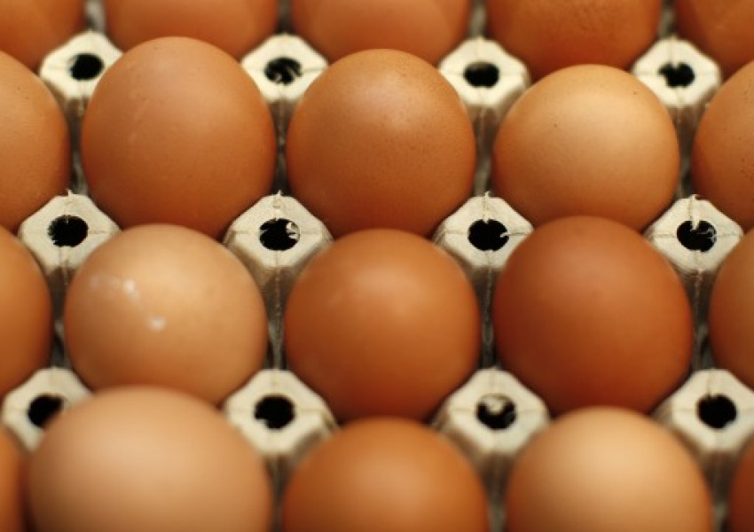 ЕС: Не купувайте български яйца!