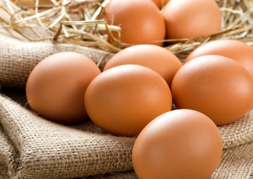 Фирма плаща на охранители заплата...в яйца