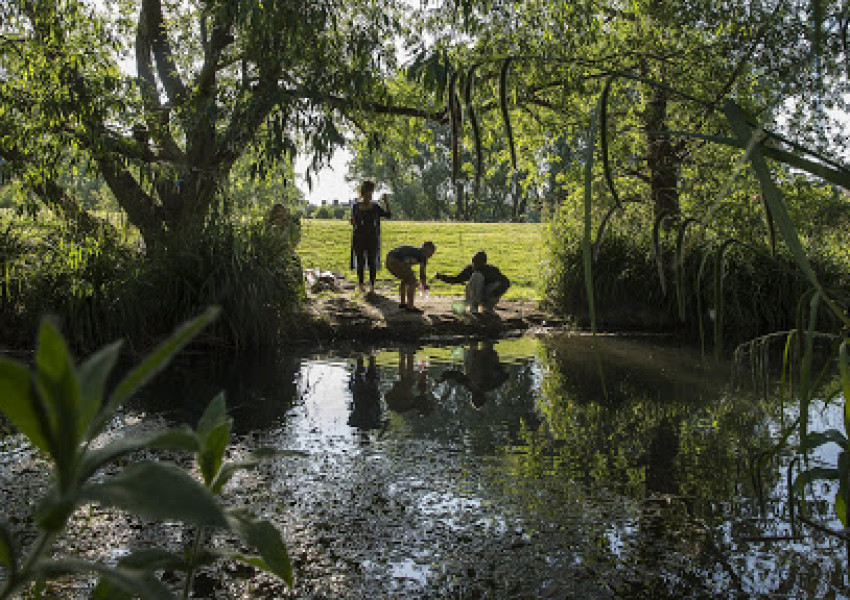 84% от наблюдаваните реки и езера във Великобритания са замърсени 