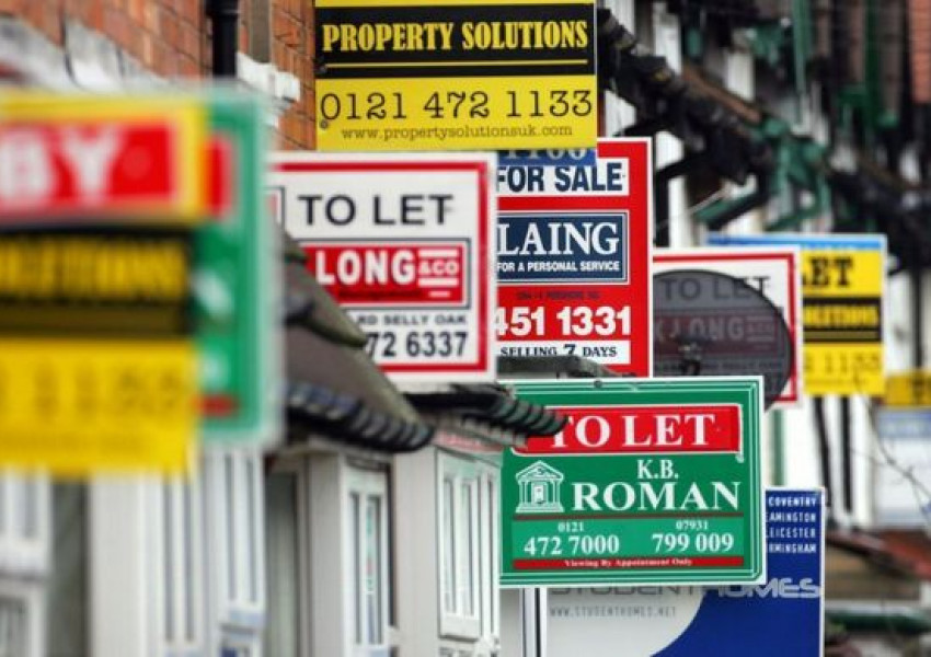 Всяко пени, спечелено до май, отива за наем