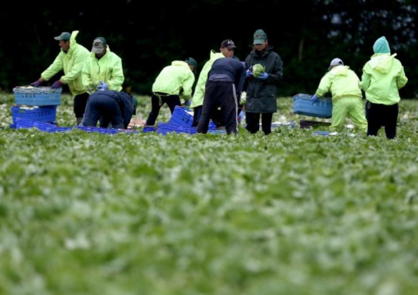 Пак мащабна операция срещу робския труд на Острова