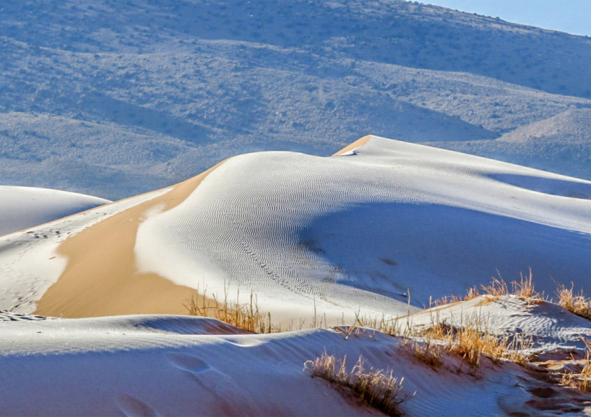 Аномалии: в пустинята Сахара сняг и лед. Сняг и в части на Саудитска Арабия