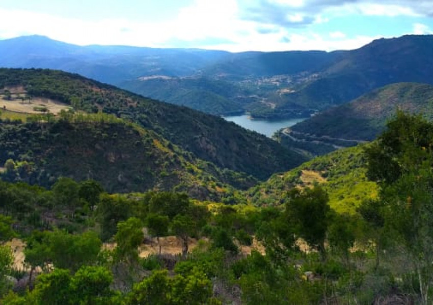 Малко италианско селце продава къщи за 1 долар