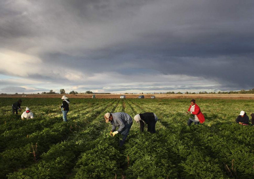 Нов доклад: След "Брекзит" ще има повече експлоатация на европейските работници