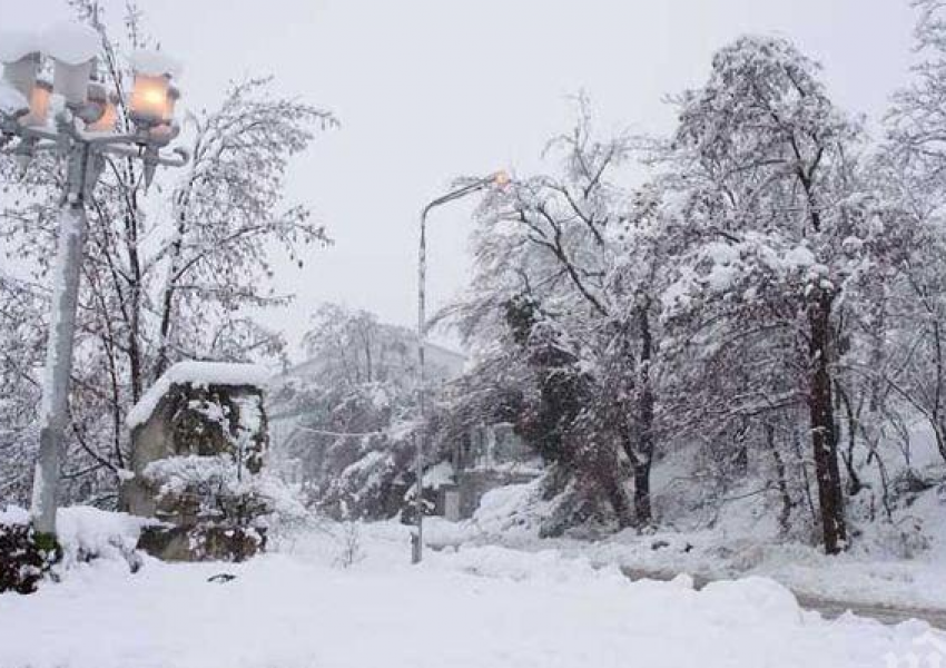 Сибирският студ взе 47 жертви в Европа