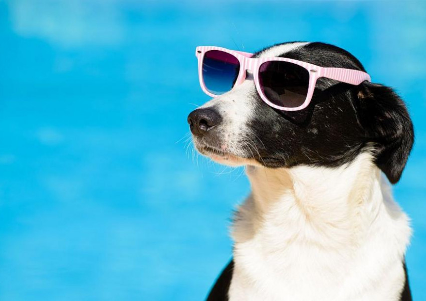 Най-горещият ден за годината в Европа