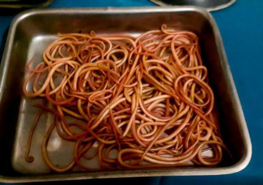 Не, това не са спагети!