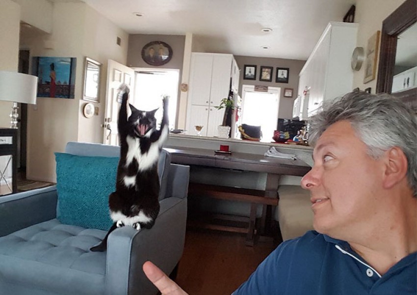 Запознайте се с Кейс - котката с най-странния и забавен навик (СНИМКИ)