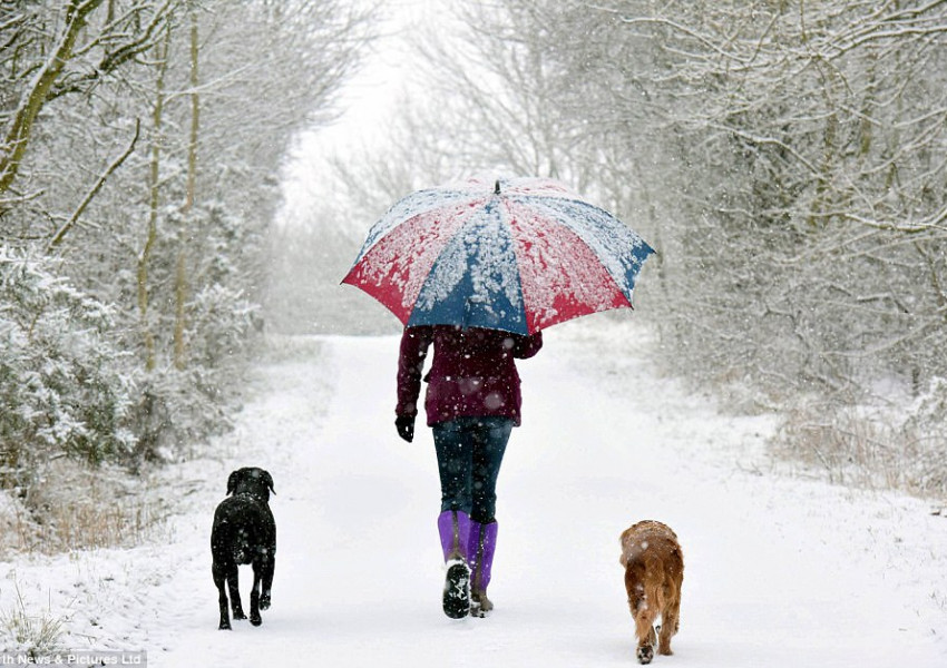 Докога ще продължи студът?