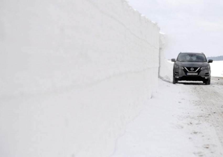 Студовете в Полша взеха над 60 жертви