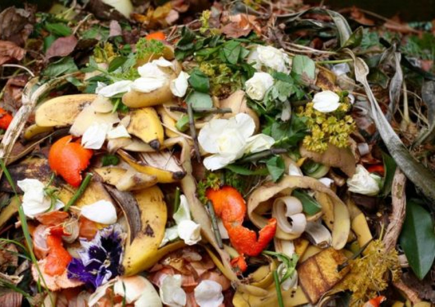 Теско ще дарява храна до февруари месец