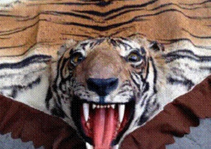 Лондончанка предлага незаконно кожи от тигър в "Ибей"